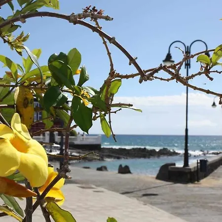 Apartament El Charcon *